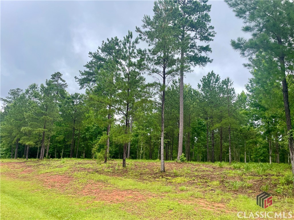 1080 Apalachee Ridge, Unit 15 Madison, GA 30650 - Photo 1 of 27 Lot 15