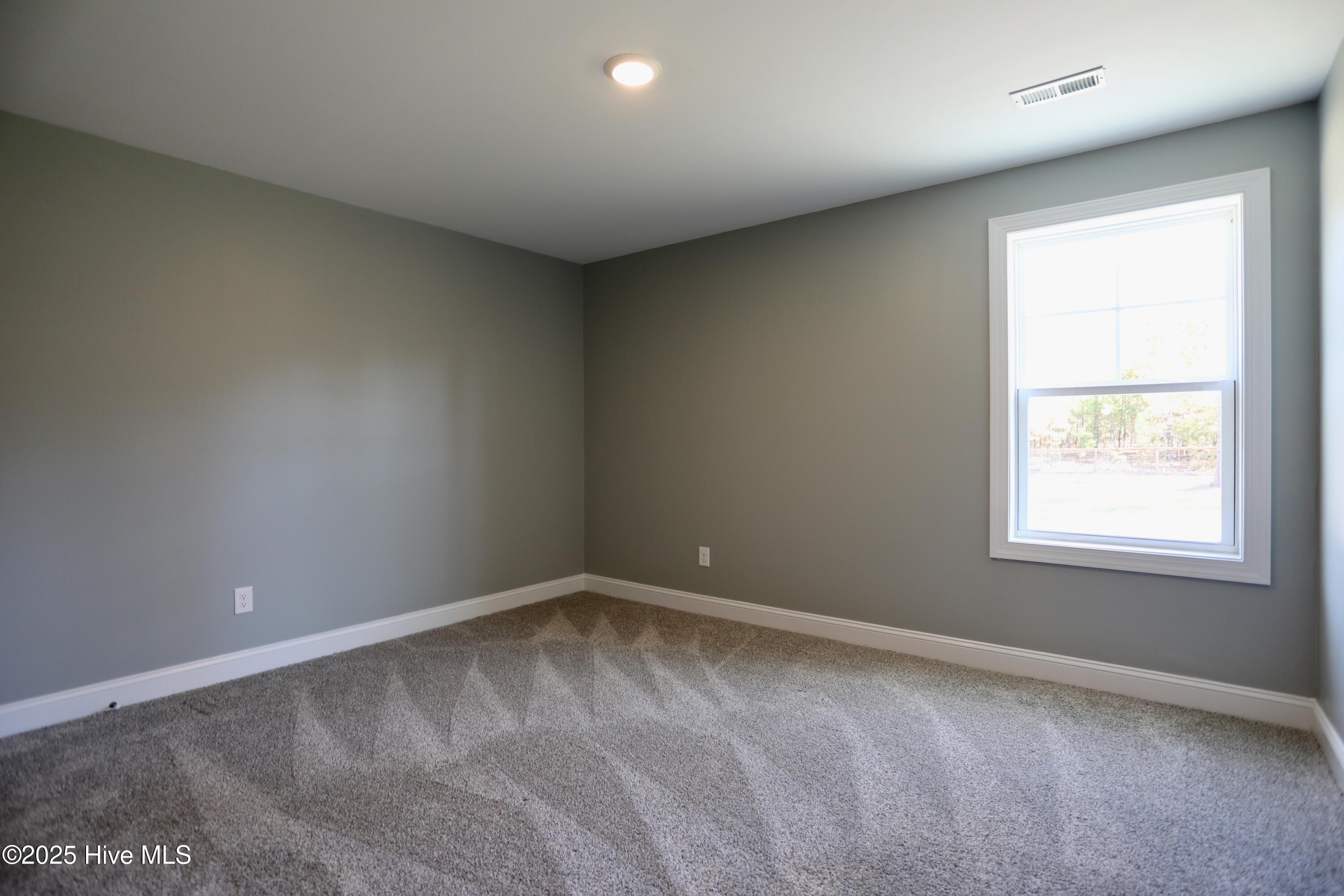 408 Gretchen Road West End, NC 27376 - Photo 24 of 33 023A1218