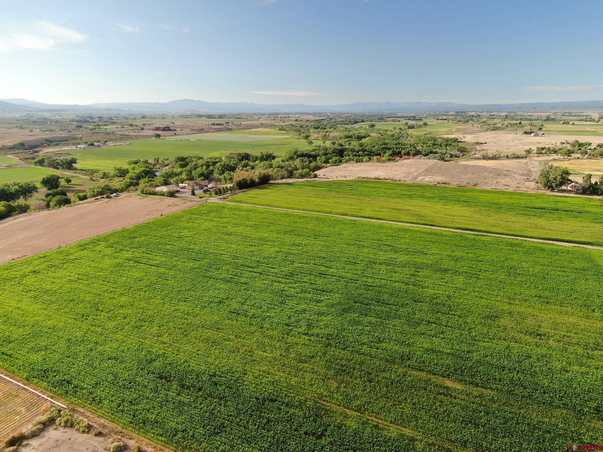 Tbd 5725th Road Olathe, CO 81425 - Photo 2 of 19