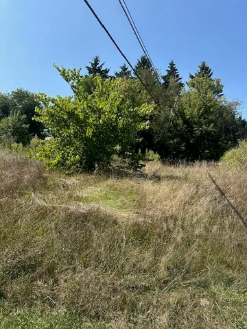 $15,000 | 60536 Christiann, Vandalia, MI 49095