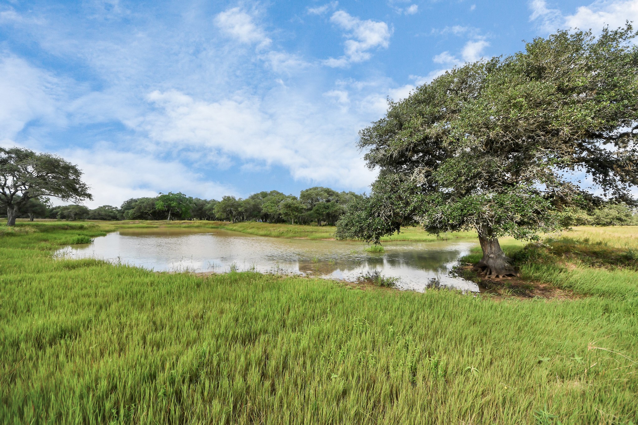 Tbd Tbd Lane Columbus, TX 78934 - Photo 8 of 8 a view of lake with green space