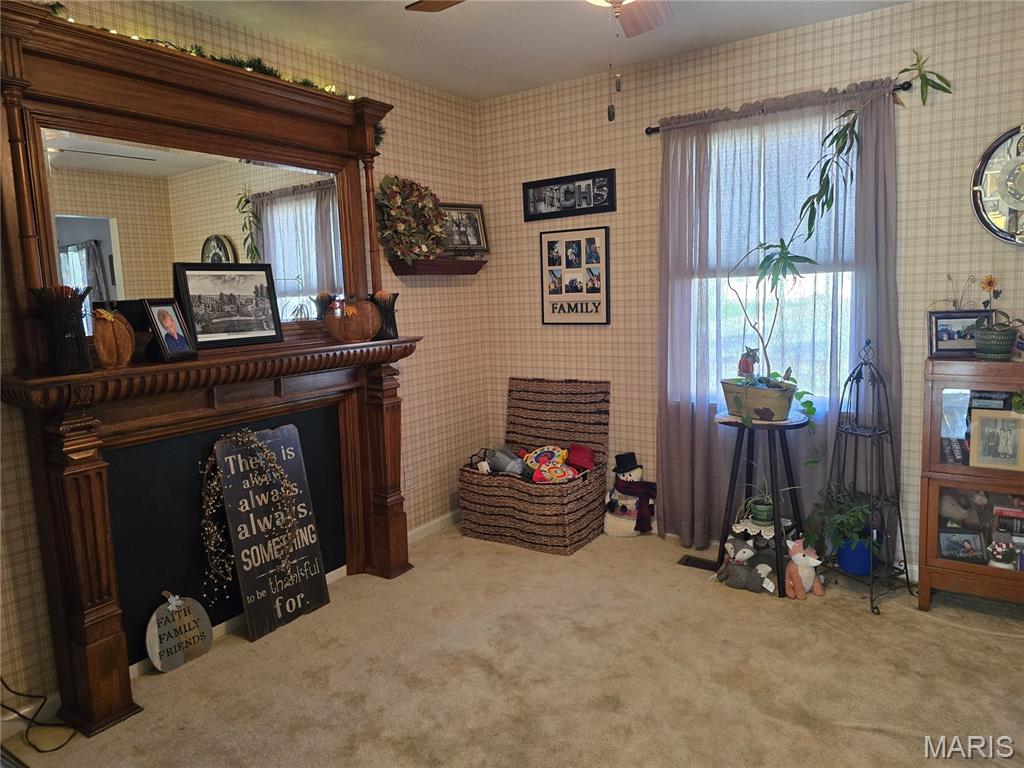 310 East 1st Street Ramsey, IL 62080 - Photo 19 of 45