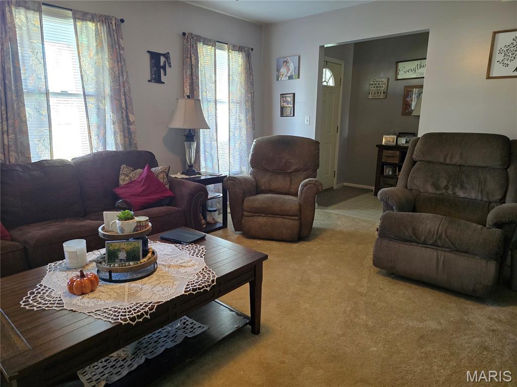 310 East 1st Street Ramsey, IL 62080 - Photo 9 of 45