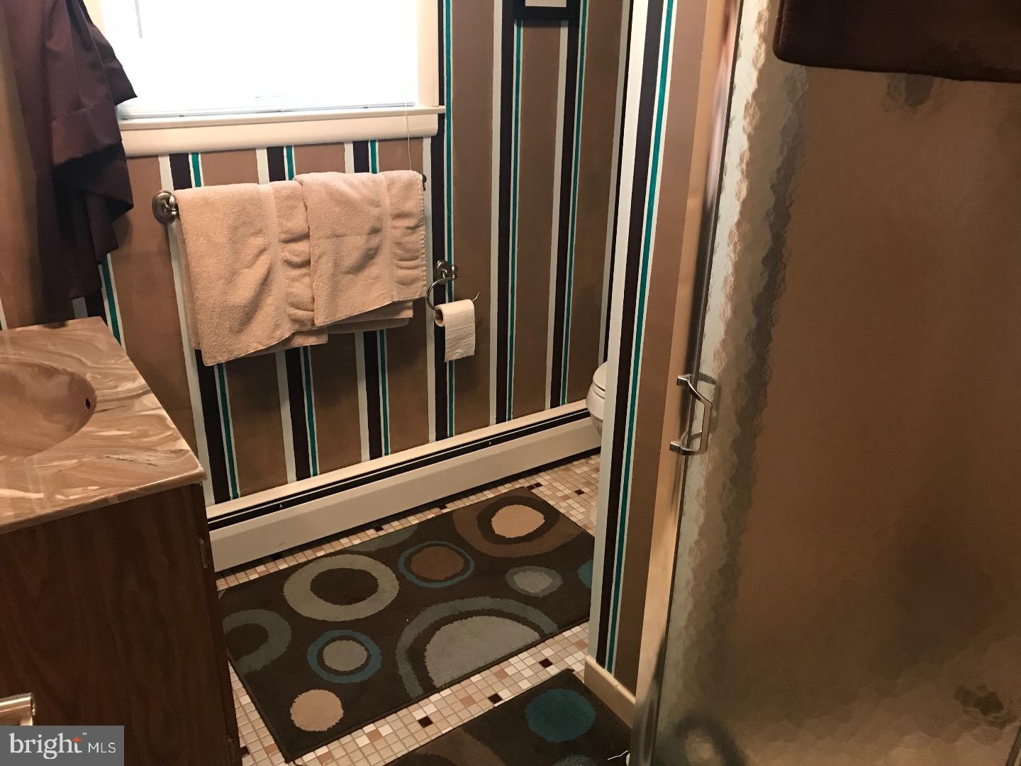 311 West Neversink Road Reading, PA 19606 - Photo 22 of 24 Bathroom
