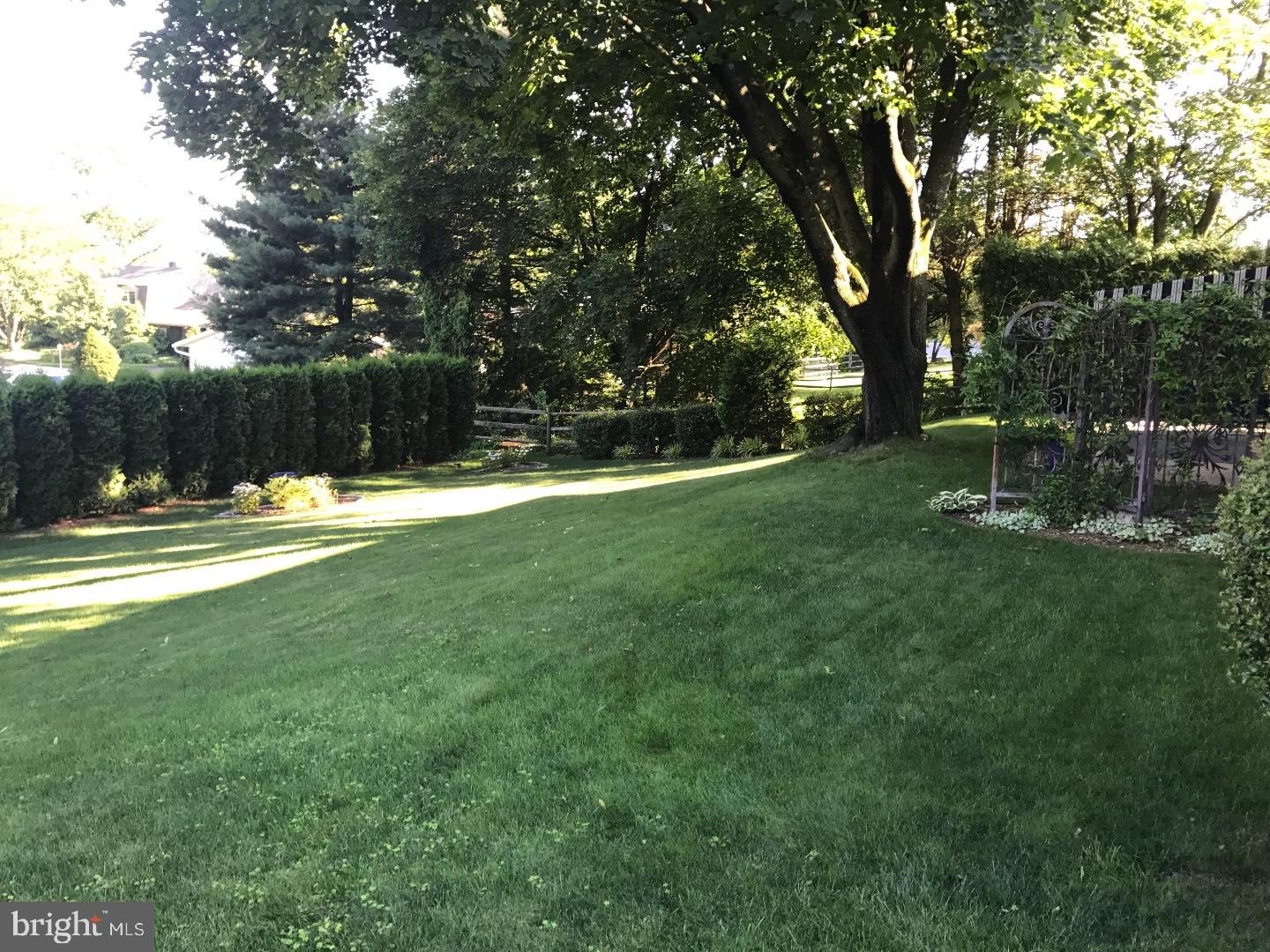 311 West Neversink Road Reading, PA 19606 - Photo 6 of 24 Back Yard