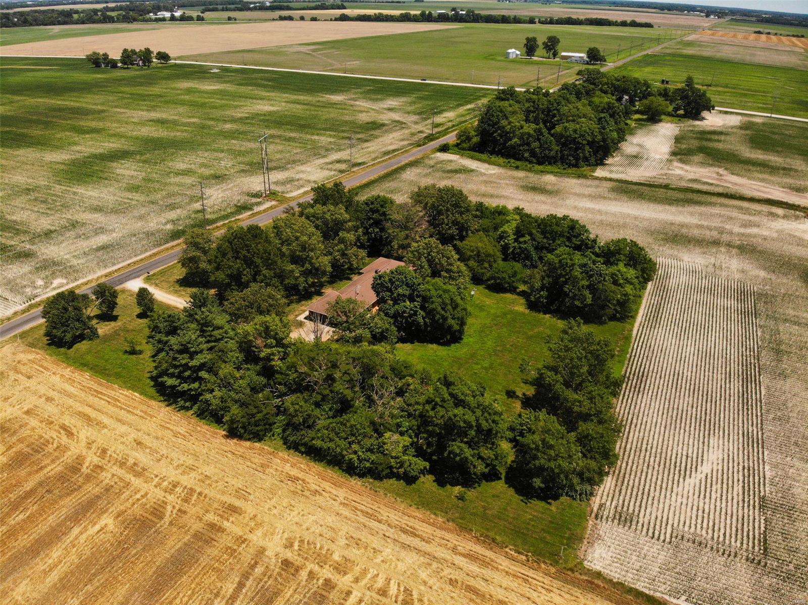 26716 Sand Ridge Road Centralia, IL 62801 - Photo 4 of 49
