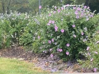 $995,000 | 1152 North 1100th Road, Lawrence, KS 66047