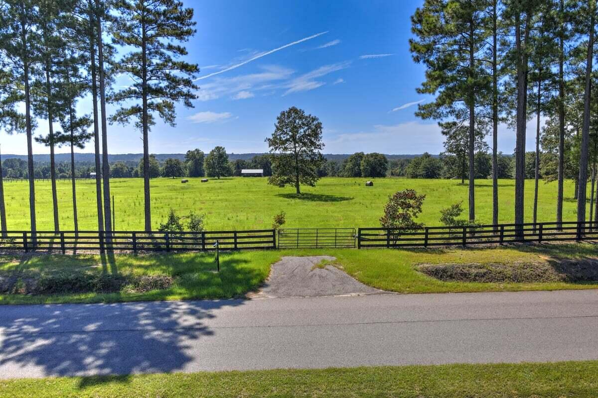 0 Flowing Well Road Wagener, SC 29164 - Photo 4 of 19