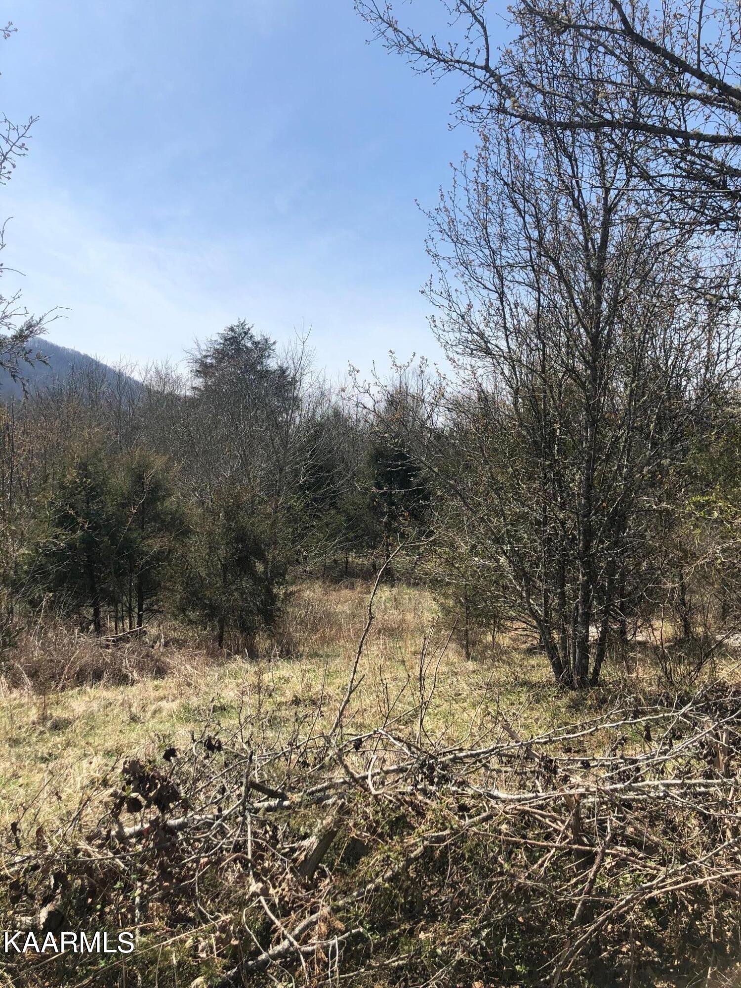0 Neal Road Tazewell, TN 37879 - Photo 8 of 10 IMG_7727