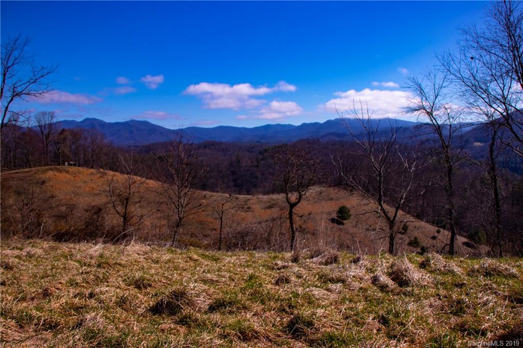Tbd Tbd Ridge Rd Green Mountain Green Mountain, NC 28740 - Photo 2 of 9 Gallery Image 2