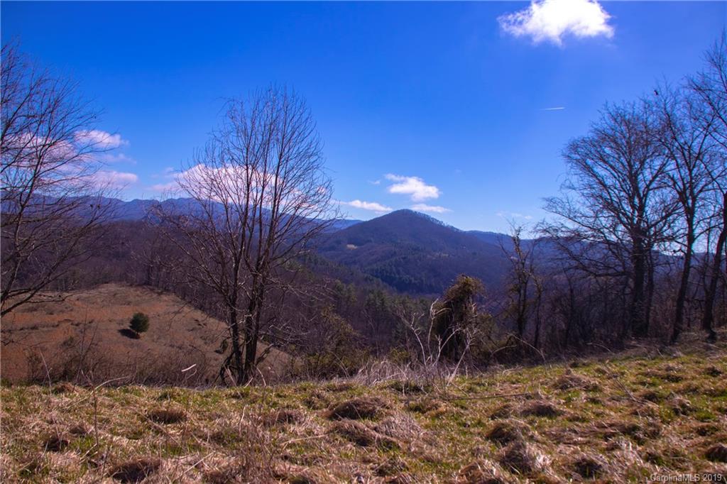 Tbd Tbd Ridge Rd Green Mountain Green Mountain, NC 28740 - Photo 4 of 9 Gallery Image 4