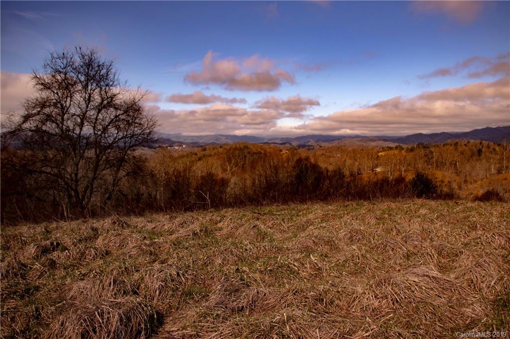 Tbd Tbd Ridge Rd Green Mountain Green Mountain, NC 28740 - Photo 5 of 9 Gallery Image 5