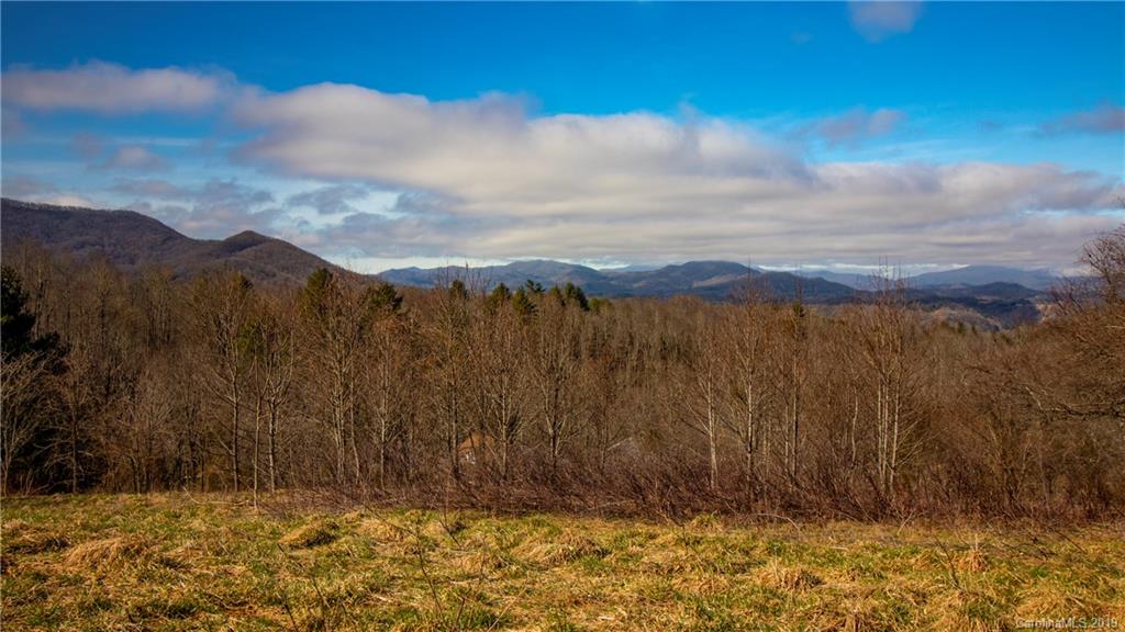 Tbd Tbd Ridge Rd Green Mountain Green Mountain, NC 28740 - Photo 6 of 9 Gallery Image 6