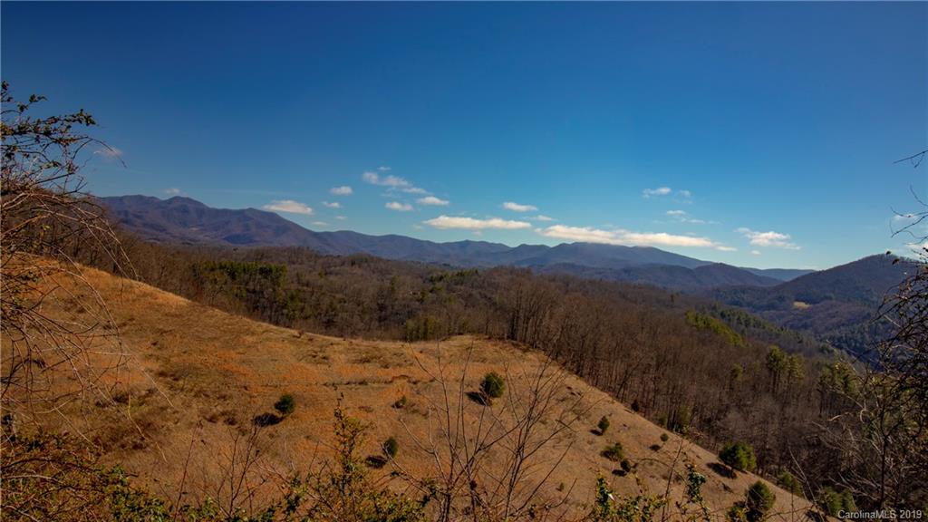 Tbd Tbd Ridge Rd Green Mountain Green Mountain, NC 28740 - Photo 8 of 9 Gallery Image 8
