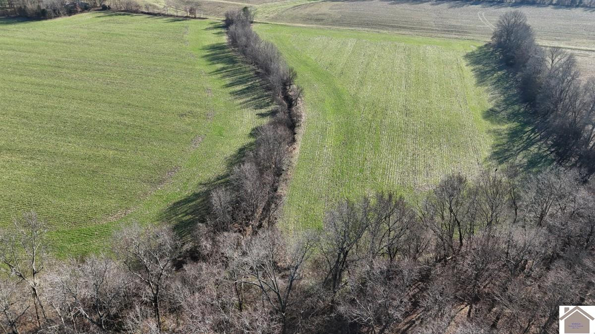 0 Erwin Road Murray, KY 42071 - Photo 5 of 24 Photo 5