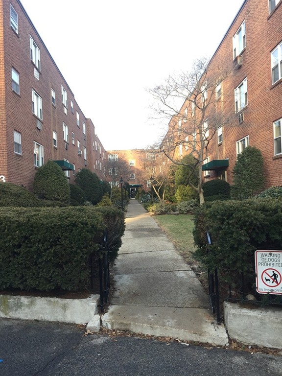 47 Colborne Road, Unit 5 Boston, MA 02135 - Photo 1 of 9 Gallery Image 1