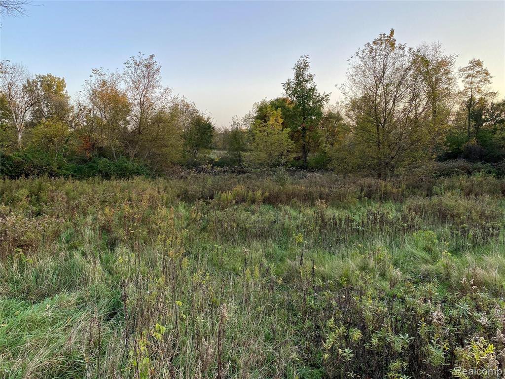 0 Kalmbach Road Grass Lake, MI 49240 - Photo 11 of 30