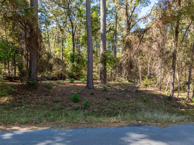 a view of outdoor space with trees