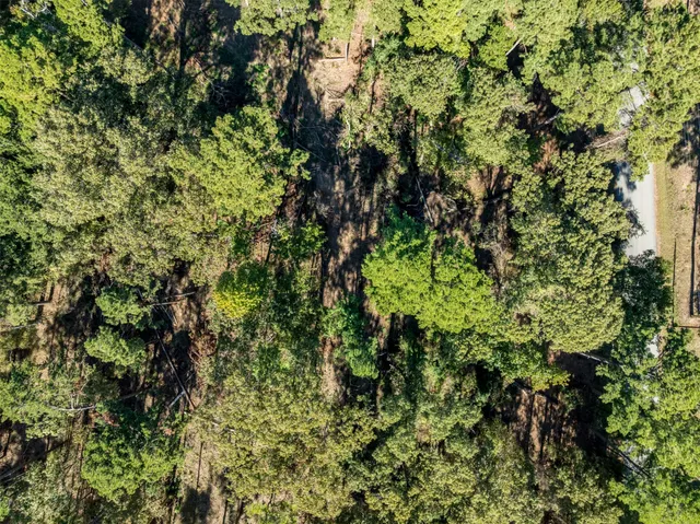 $80,000 | Lot 5 Pintail Drive, Flint, TX 75762