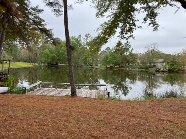 29 Thomas Lake Road Huntsville, TX 77320 - Photo 14 of 43 a view of a lake