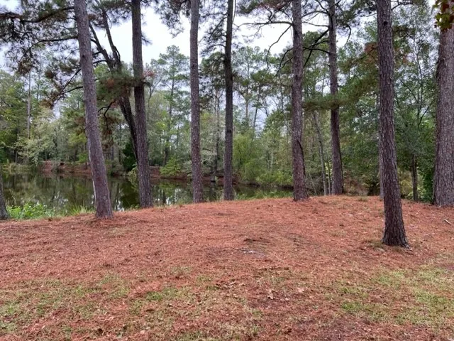 a wooden bench with trees in the background