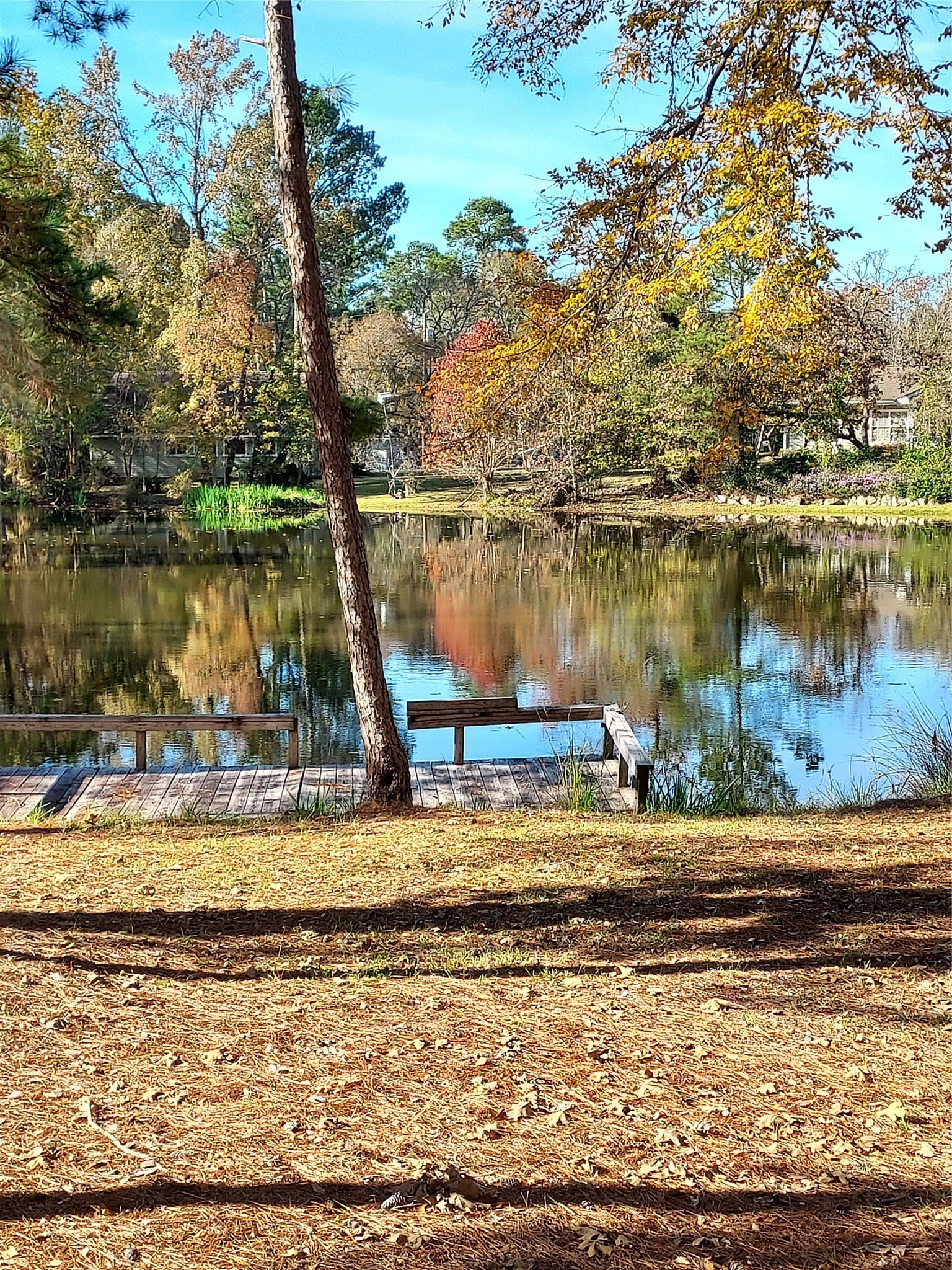 29 Thomas Lake Road Huntsville, TX 77320 - Photo 27 of 43 a view of a lake view