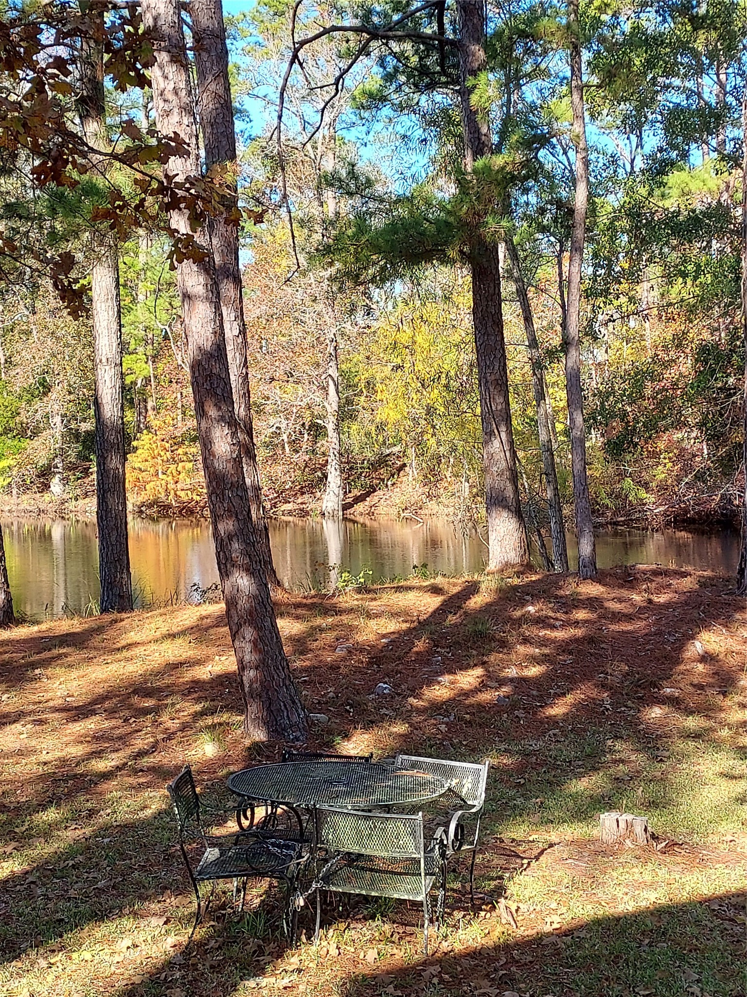 29 Thomas Lake Road Huntsville, TX 77320 - Photo 28 of 43 a backyard of a house with lots of green space