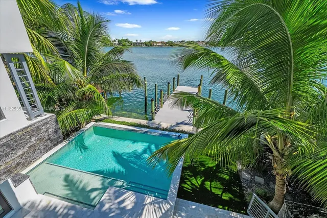 a view of a lake with a palm tree