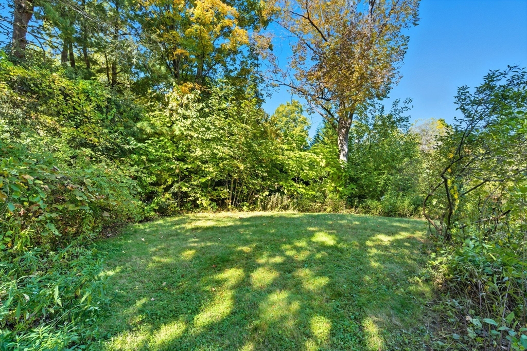 232 Sudbury Road Concord, MA 01742 - Photo 33 of 35 a view of a large yard with lots of bushes