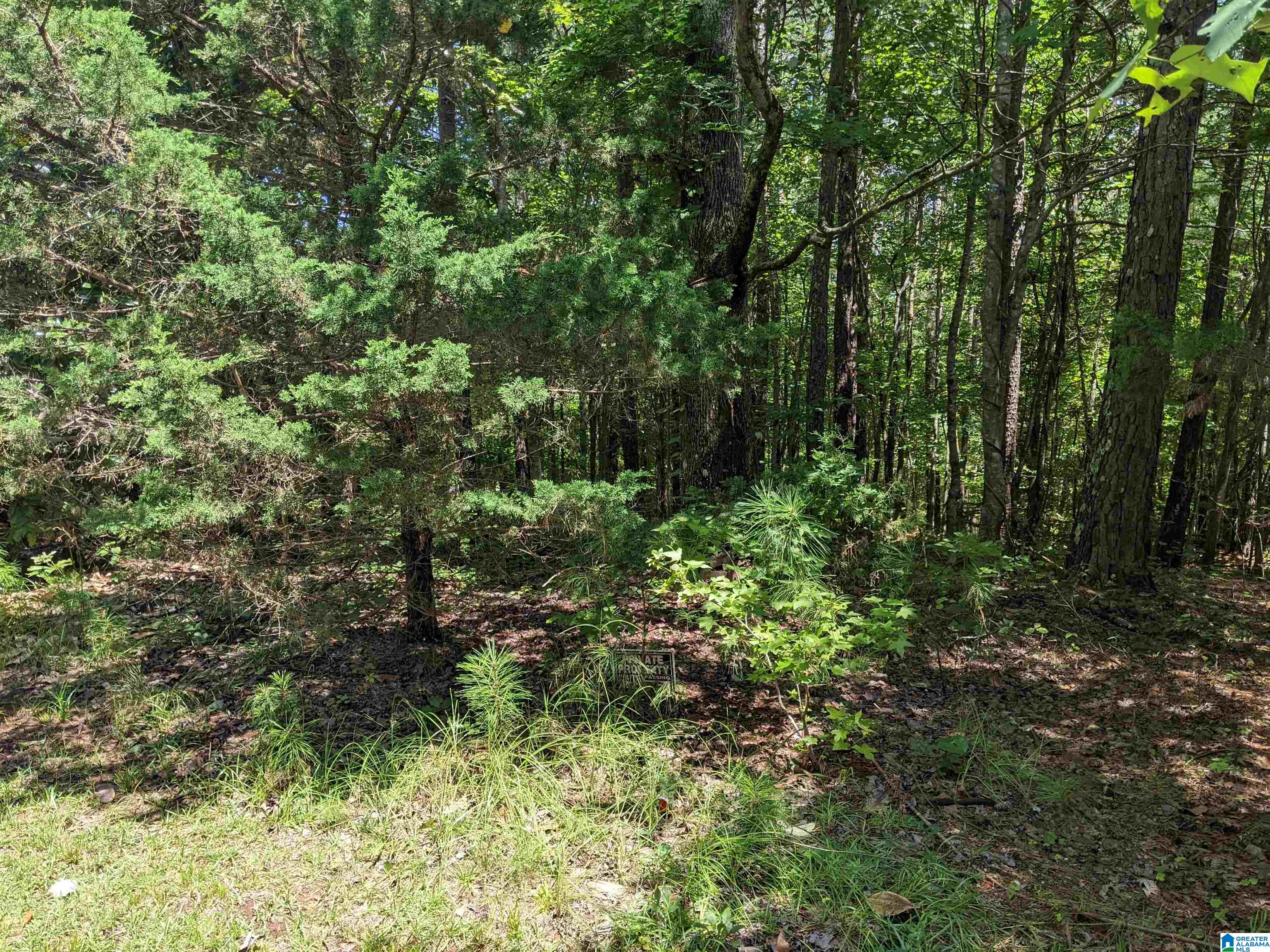 0 Cedar Creek Road, Unit 12804 Odenville, AL 35120 - Photo 3 of 3