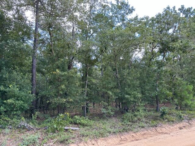 Ninety Ninety 6 Road Neeses, SC 29107 - Photo 6 of 6