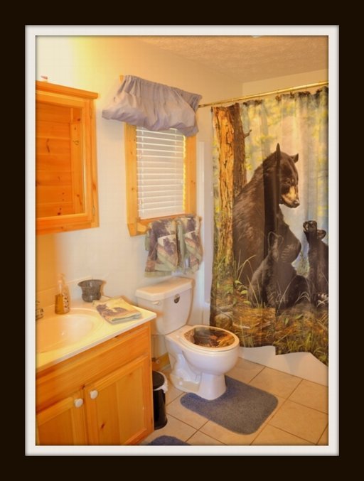 2546 Bobcat Way Sevierville, TN 37862 - Photo 14 of 15 Additional Photo