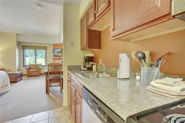 $49,900 | 518 Tamarack Drive, Unit 5, Ellicottville, NY 14731