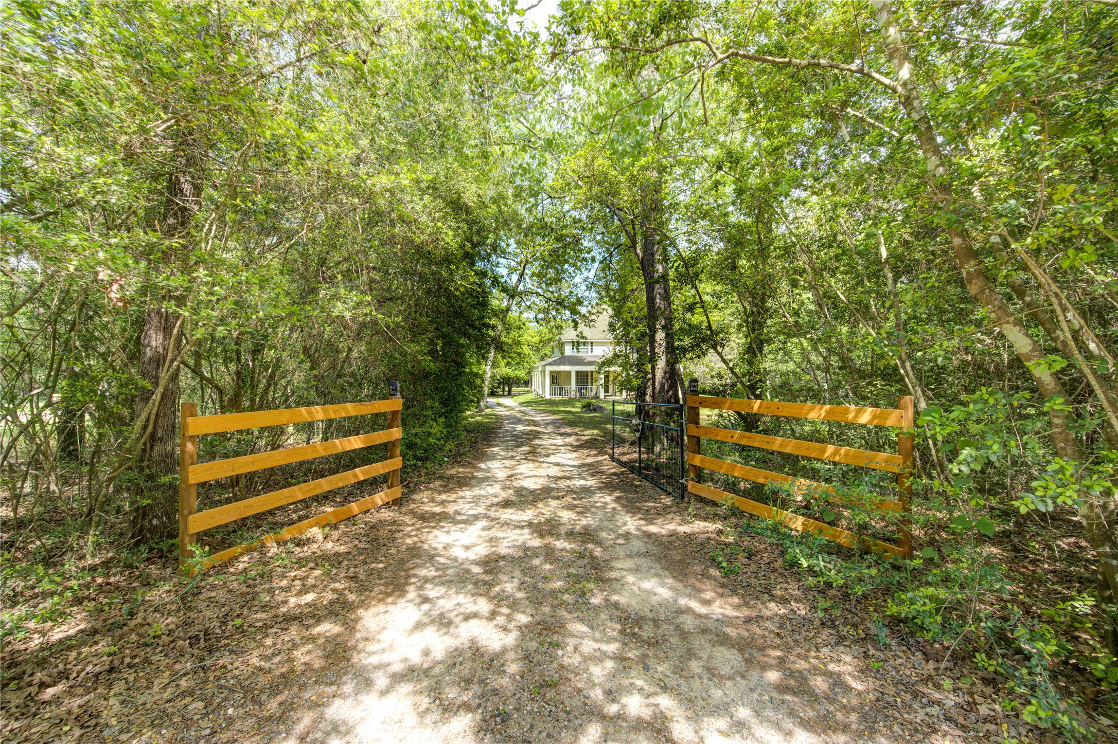 25903 Penguin Street Magnolia, TX 77355 - Photo 2 of 46 A charming property entrance with a gravel driveway leads through a wooded area, flanked by wooden gates. The path opens to a view of a cozy home nestled among lush greenery, providing a serene and private retreat.