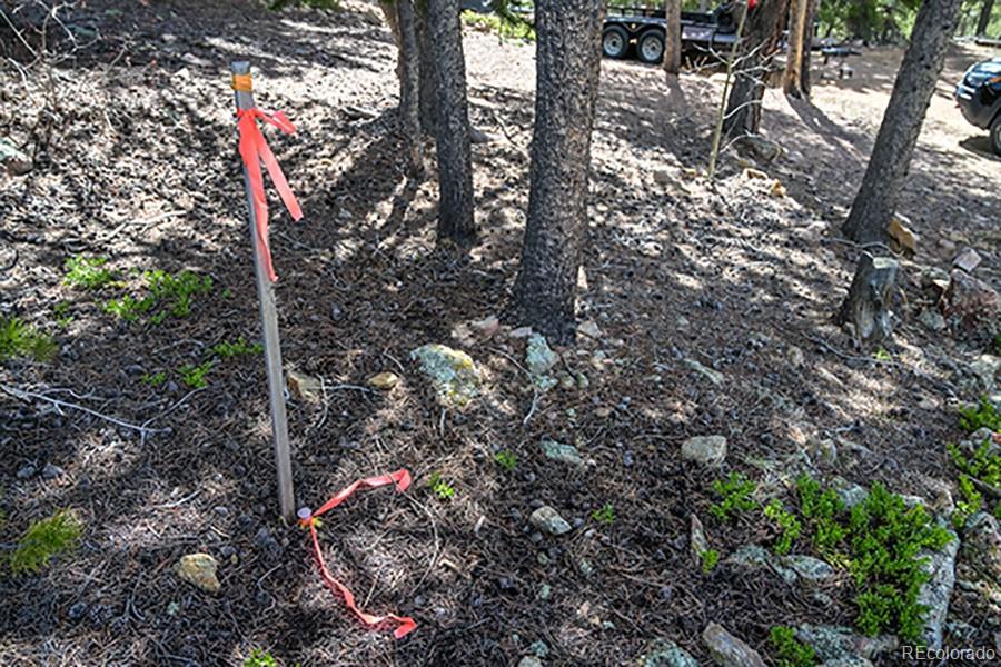 0 Wolf Road Black Hawk, CO 80422 - Photo 12 of 16 Gallery Image 12