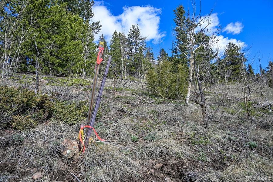 0 Wolf Road Black Hawk, CO 80422 - Photo 13 of 16 Gallery Image 13