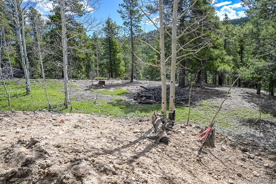 0 Wolf Road Black Hawk, CO 80422 - Photo 16 of 16 Gallery Image 16