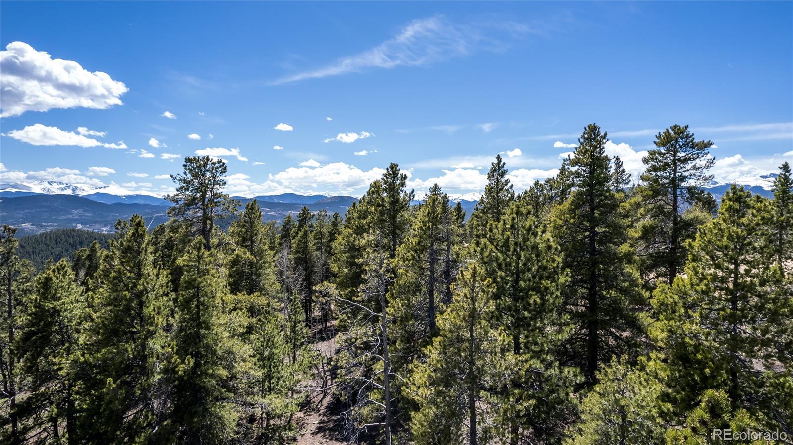 0 Wolf Road Black Hawk, CO 80422 - Photo 2 of 16 Gallery Image 2