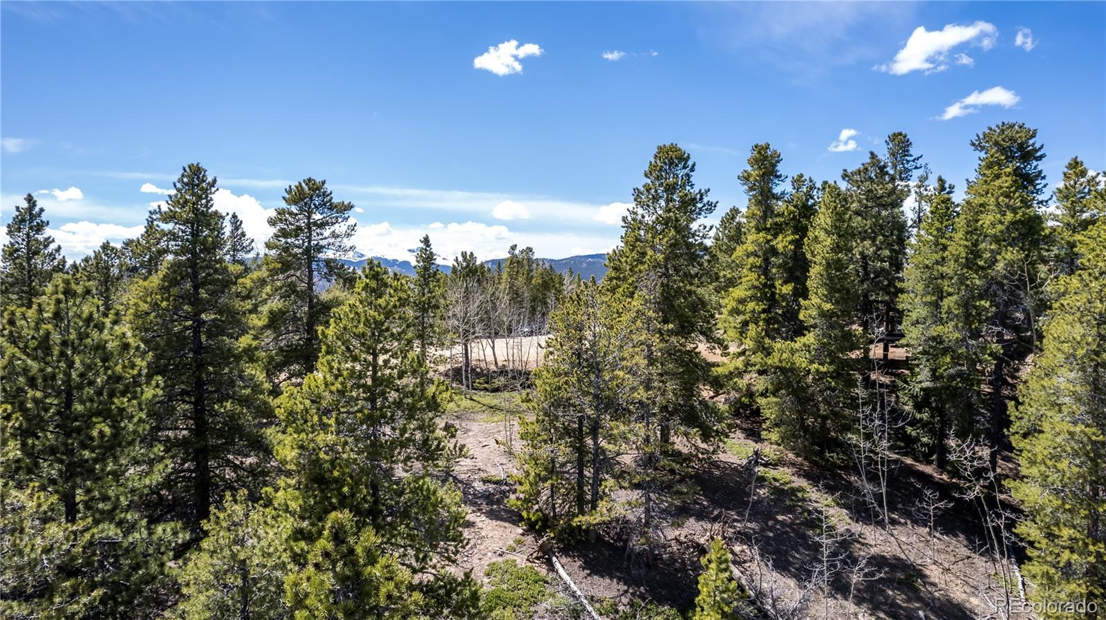 0 Wolf Road Black Hawk, CO 80422 - Photo 8 of 16 Gallery Image 8