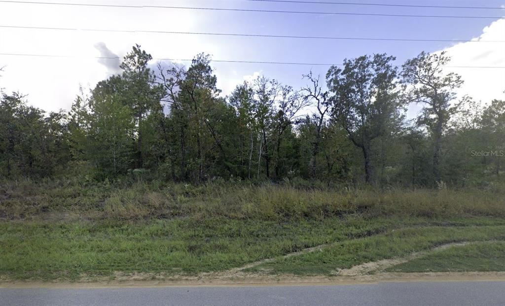 1504 Lakeview Trail Interlachen, FL 32148 - Photo 1 of 3 a view of a forest with trees in the background