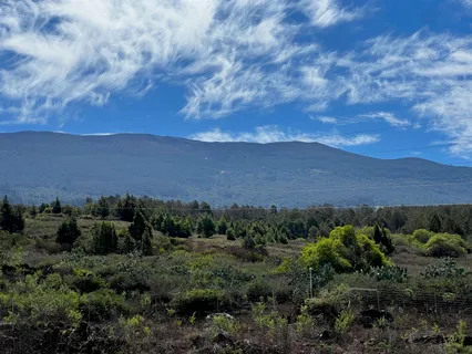 $998,000 | 0 Kamehameiki Road, Kula, HI 96790