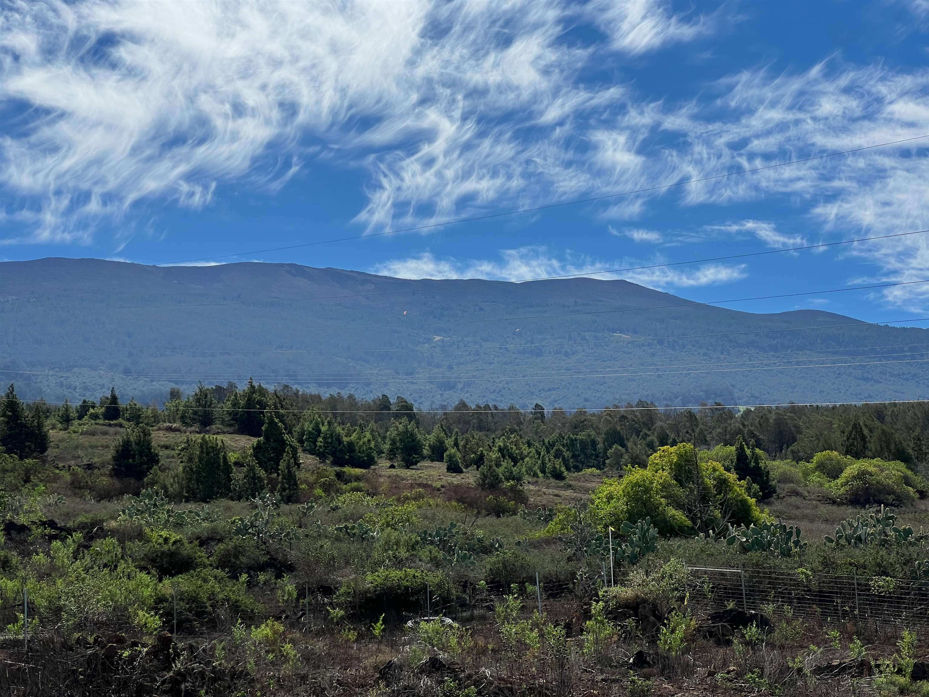 0 Kamehameiki Road Kula, HI 96790 - Photo 18 of 23