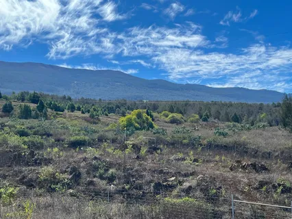 $998,000 | 0 Kamehameiki Road, Kula, HI 96790