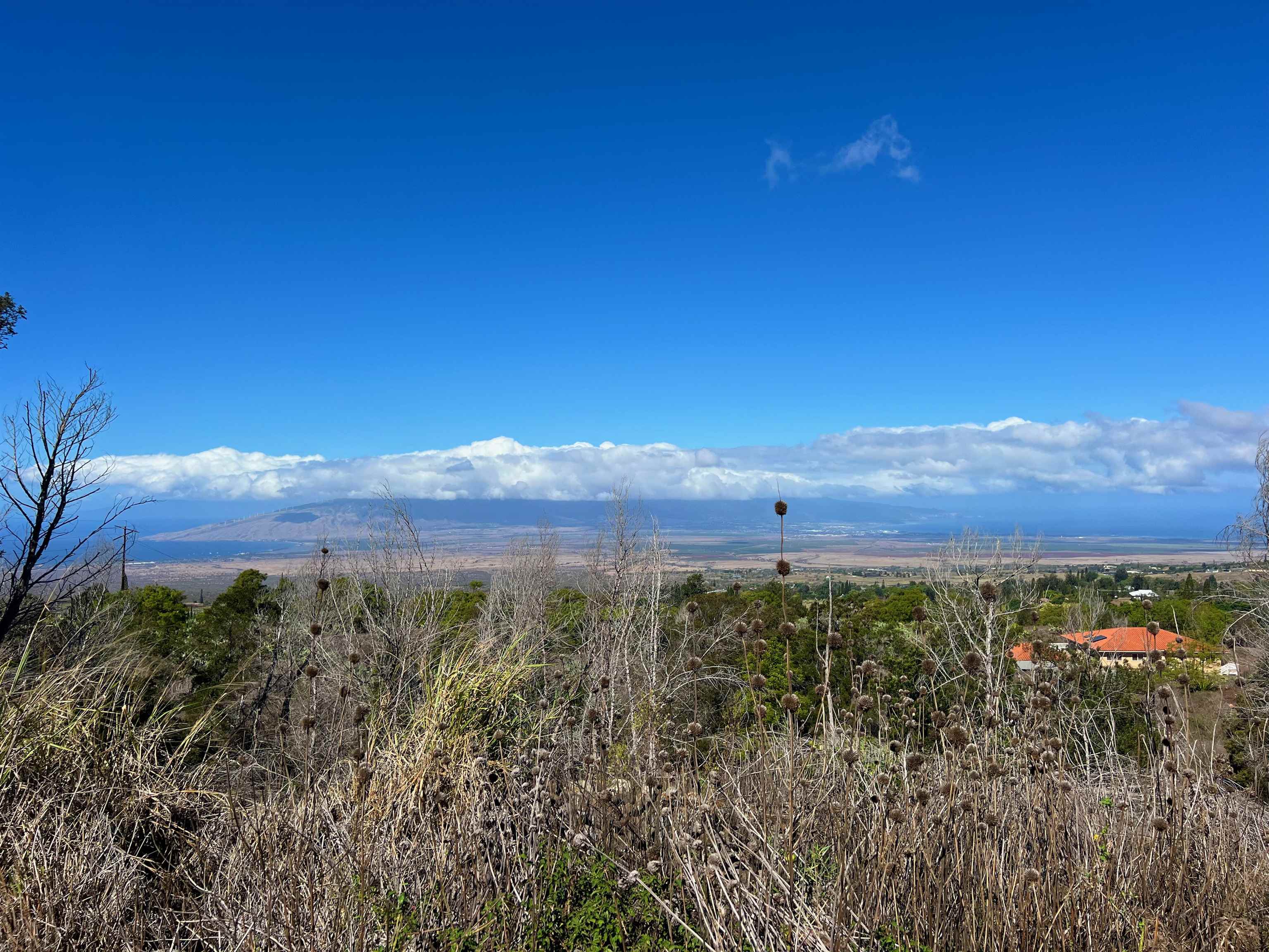 0 Kamehameiki Road Kula, HI 96790 - Photo 5 of 23