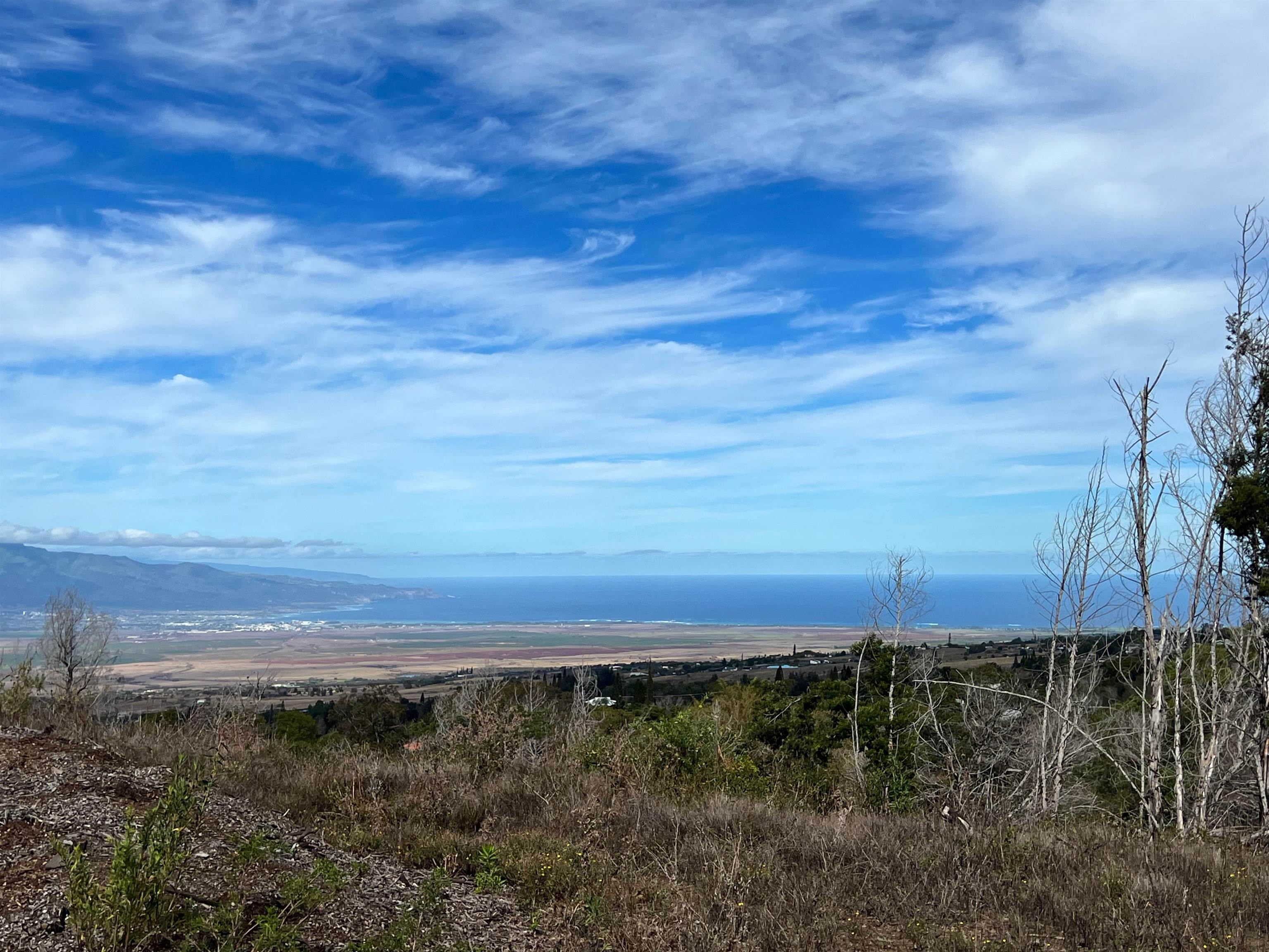 0 Kamehameiki Road Kula, HI 96790 - Photo 9 of 23