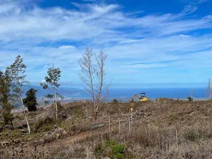 $998,000 | 0 Kamehameiki Road, Kula, HI 96790