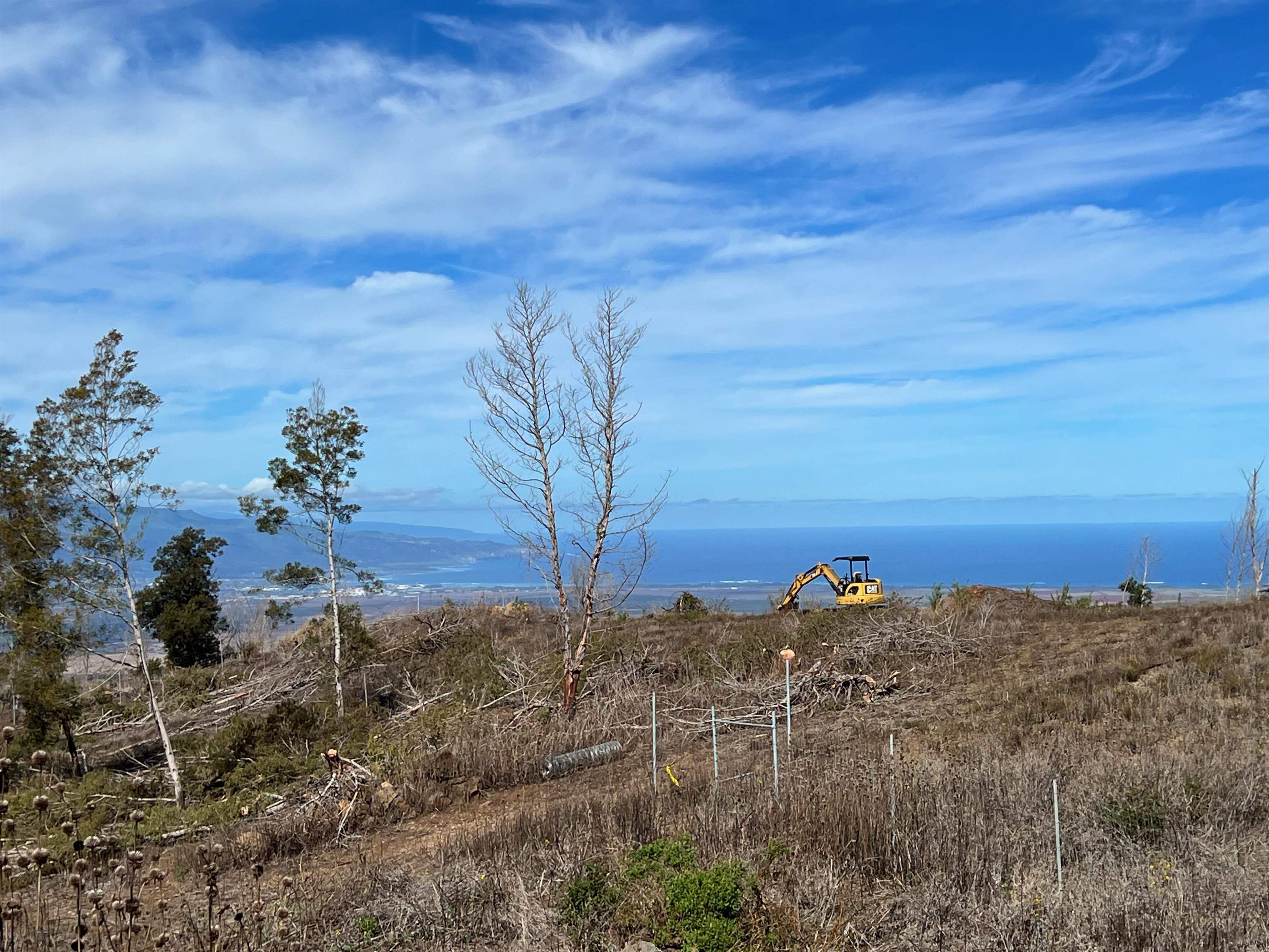 0 Kamehameiki Road Kula, HI 96790 - Photo 10 of 23