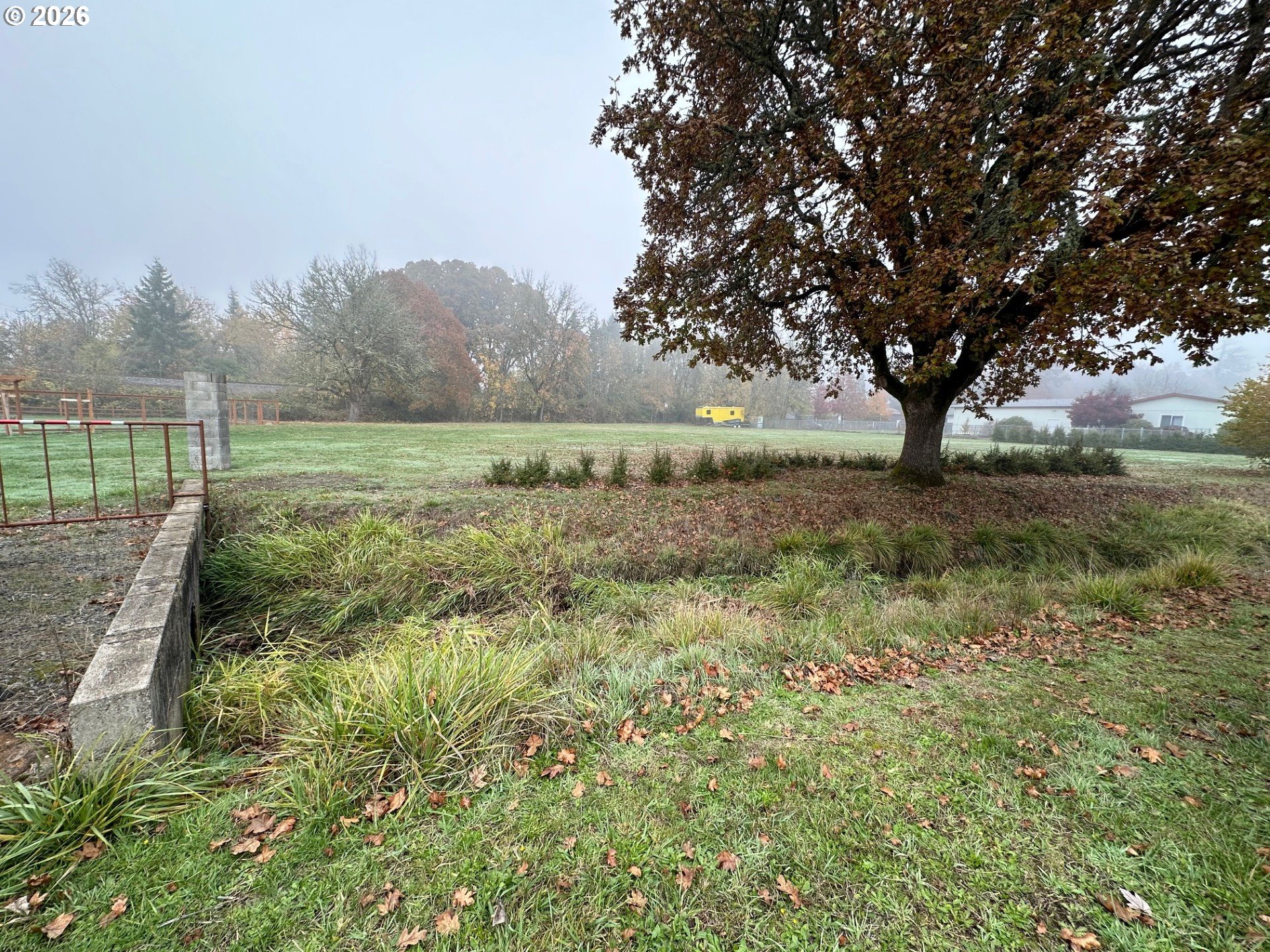 a view of a field with trees