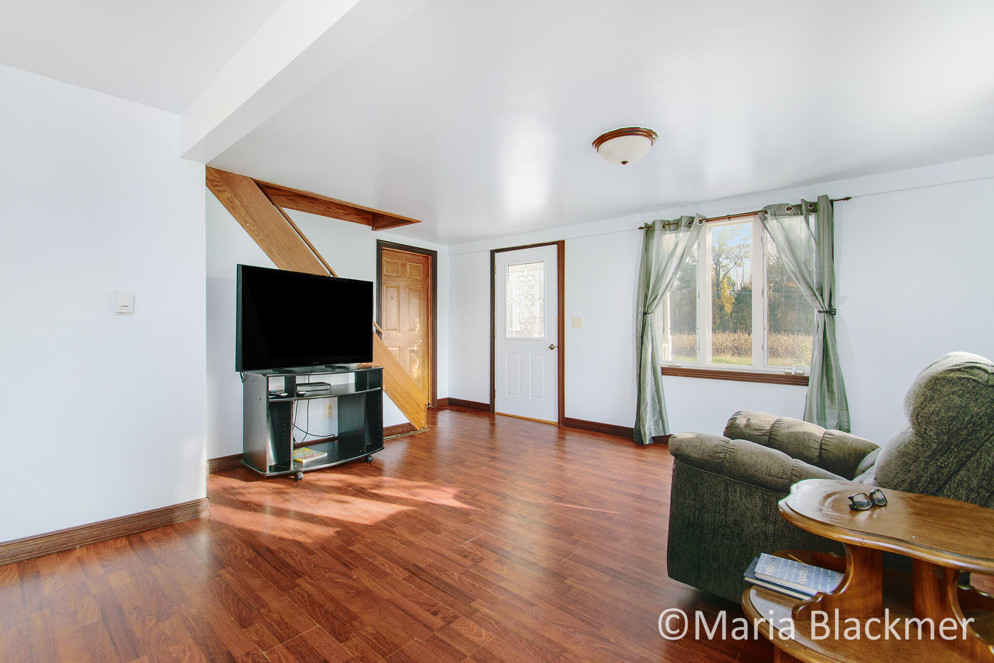 1279 Haynor Road Ionia, MI 48846 - Photo 8 of 17 DSC_9222