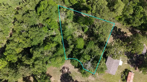 $16,499 | Tbd Pine Grove Drive, Onalaska, TX 77360